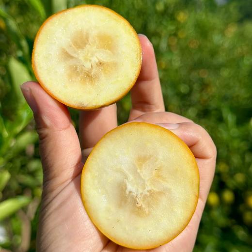 脆蜜金柑 云南高原核心产区 甜蜜炸弹 皮薄汁多 肉嫩化渣 商品图2