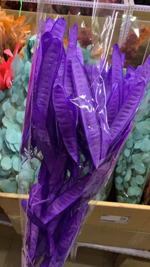 永生花材 | 扁豆紫色 商品图0