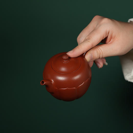 龙德堂陶艺 汤亚姣制《珠莲》原矿大红袍 170cc 库存请咨询客服 商品图4