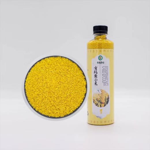 有机大黄米、黄小米、高粱米  //  善地善行 商品图1