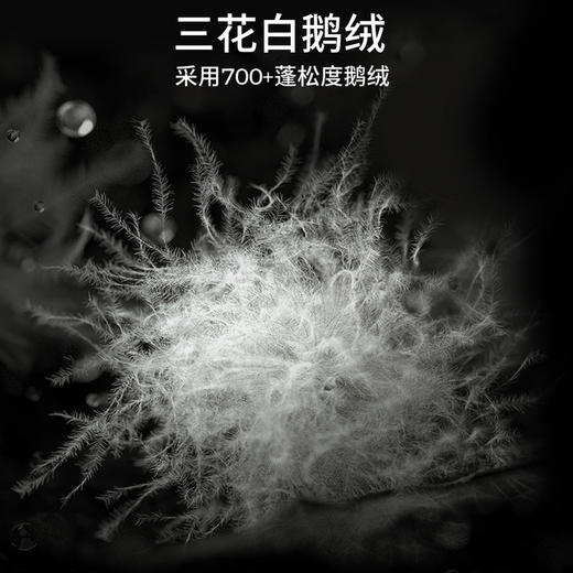 棉仓357815021-微宽松机能压胶连帽白鹅绒羽绒服 商品图2