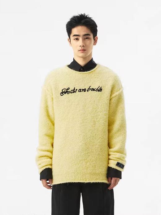 FMACM/ZZS2329/"facts are trouble"含羊毛圈圈纱毛衣 商品图0