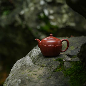 龙德堂陶艺 汤亚姣制《珠莲》原矿大红袍 170cc 库存请咨询客服