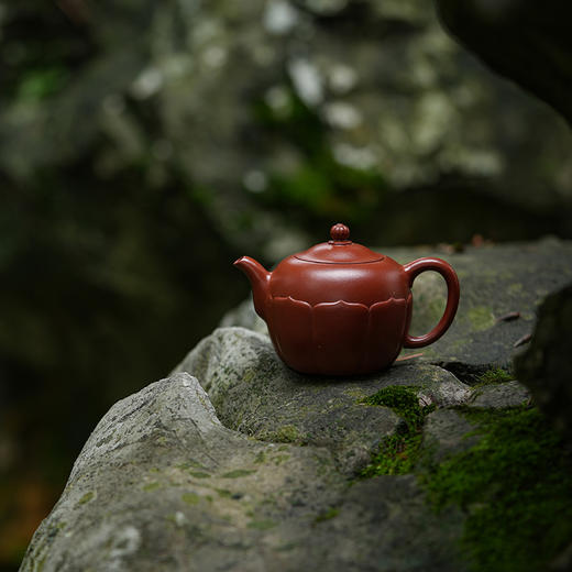 龙德堂陶艺 汤亚姣制《珠莲》原矿大红袍 170cc 库存请咨询客服 商品图0