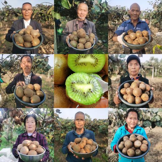 徐香猕猴桃 商品图0