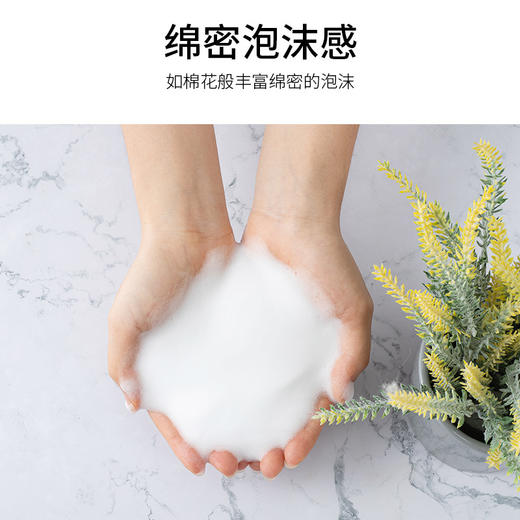 依漾山茶花氨基酸泡沫洗面奶深层清洁面部祛痘控油洁面乳正品 商品图3