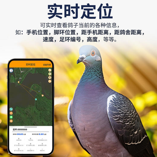 品宁大鸽大鸽子定位器防丢失GPS北斗鹦鹉追踪器动物鸟类飞禽定位j 商品图2