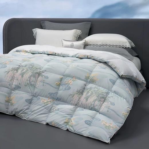 whinny/惠谊波兰进口绒95%绒繁花蓬松保暖鹅绒春秋被冬被羽绒被 商品图1