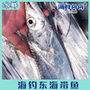 海钓东海带鱼（纯手钓当日钓） 商品缩略图0