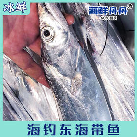 海钓东海带鱼（纯手钓当日钓）