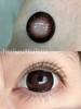 【实拍大直径】皇家系列-偏大着色-直径14.5mm/ 着色14.4mm 【年抛 度数0-1000度 无525/575 】 商品缩略图1