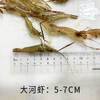 【HFS&2月6日周五送达】生态淡水大河虾  （农户曹燕） 约200g/份 商品缩略图1