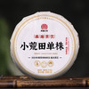 凰馨2024年小荒田单株200克 古树普洱茶生茶 商品缩略图6