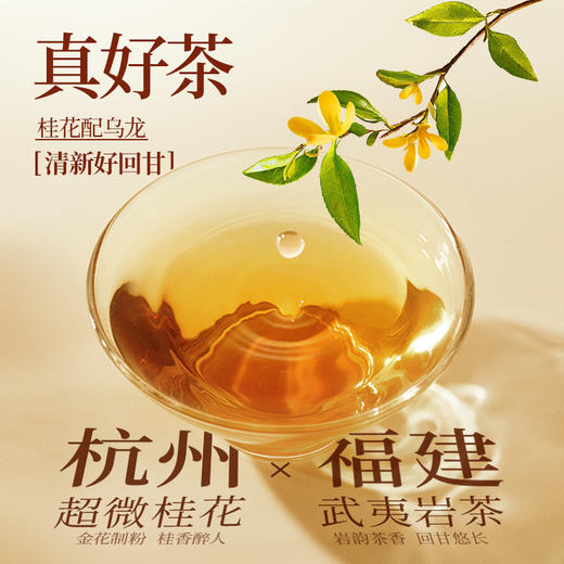 【买盒装赠试喝/摇摇杯】每鲜说 桂满觉陇/茉莉绝弦牛乳茶 可冷泡&热泡 袋装/盒装可选 商品图3