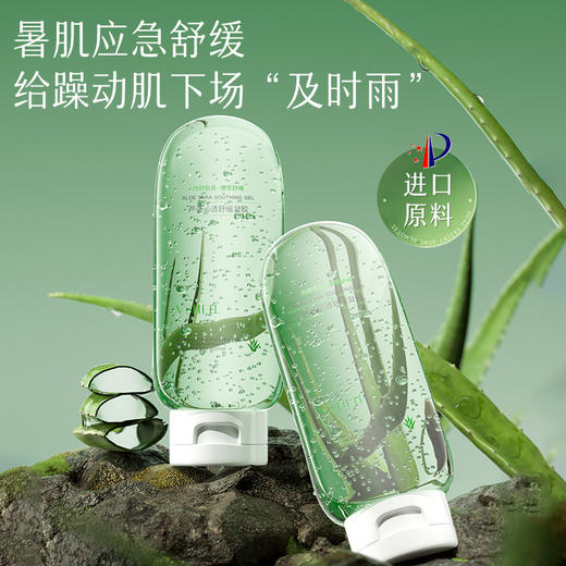植贝芦荟沁透舒缓凝胶220g补水保湿滋润晒后修护舒缓芦荟胶批发 商品图1