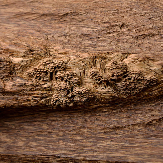 【沉香摆件】香四代  溪山烟云 文莱沉香摆件 商品图3