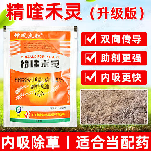 15%精喹禾灵除草剂大豆大田作物苗后除草专用强力除草剂正品农用 商品图4