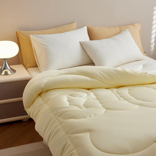 顶柔 棉花糖生物基被3.0 商品图4