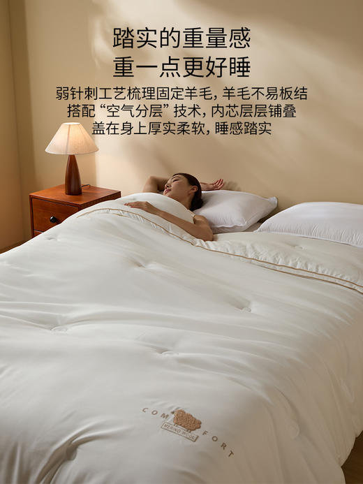 佳丽斯羊毛被子冬被加厚澳洲天然冬季柔软家用10斤棉被秋冬款过冬 商品图5