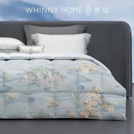 whinny/惠谊波兰进口绒95%绒繁花蓬松保暖鹅绒春秋被冬被羽绒被 商品图2