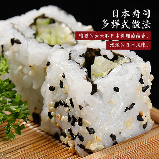 东北大米5斤 商品图3