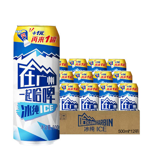 哈尔滨冰纯啤酒500ml*1听/6听/12听 商品图1