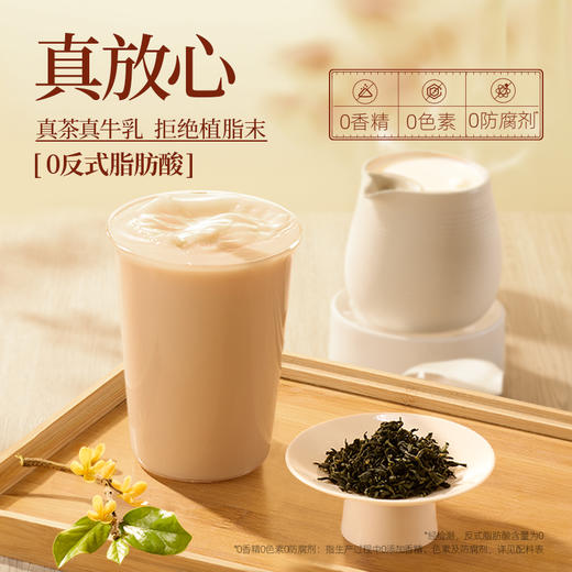 【买盒装赠试喝/摇摇杯】每鲜说 桂满觉陇/茉莉绝弦牛乳茶 可冷泡&热泡 袋装/盒装可选 商品图4