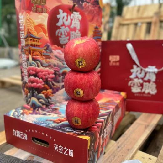 九霄云脆苹果【件】 商品图0
