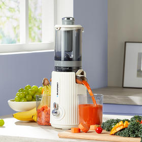 蓝宝大口径原汁机榨汁机小型家用BP-YJ01