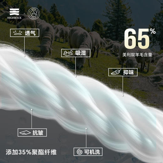 天石鹅铠甲半开领美利奴羊毛T恤男士长袖弹力户外运动登山徒步G204 商品图3