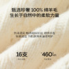 【严选】【圈圈羊毛】伊芙丽复古学院海军领针织开衫2024冬季新款毛衣外套1FA935201 商品缩略图4