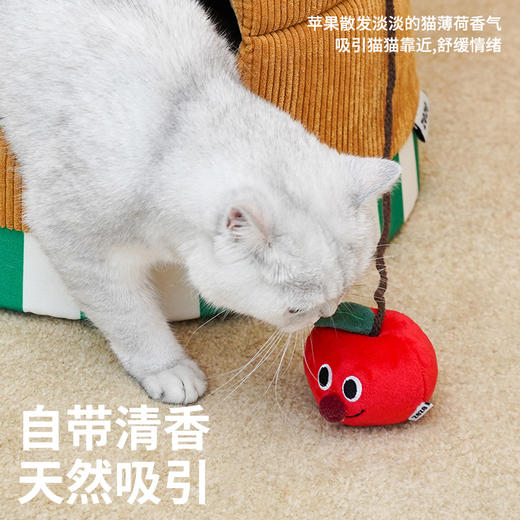 zeze苹果派折叠宠物屋-B 商品图3