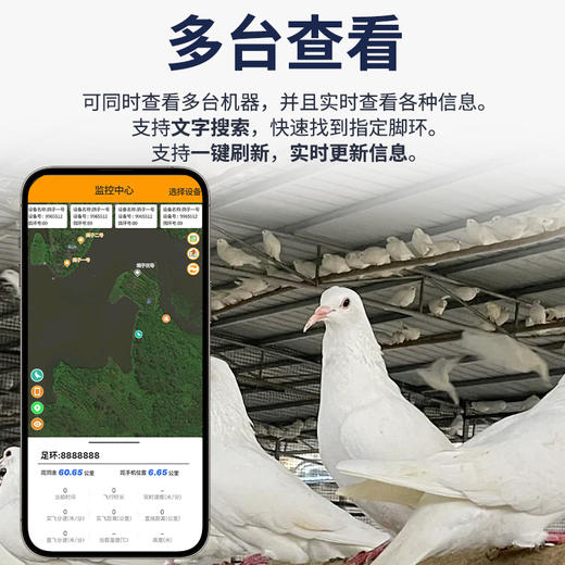 品宁大鸽大鸽子定位器防丢失GPS北斗鹦鹉追踪器动物鸟类飞禽定位j 商品图3