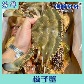 梭子蟹（8-10月）