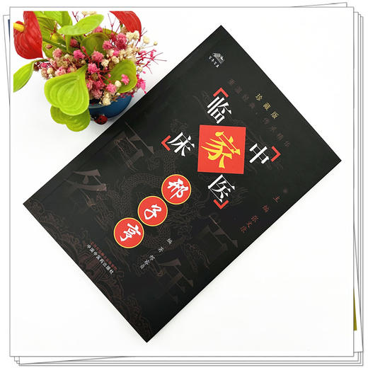 邢子亨（中国百年百名中医临床家丛书）珍藏版 邢睿贞 编著 全国名老中医经验集书籍 中国中医药出版社 商品图1