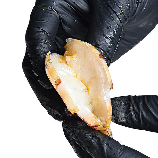 泰福·活冻野生虎虾500g/罐·野生海捕新鲜活冻【阳江】 商品图2