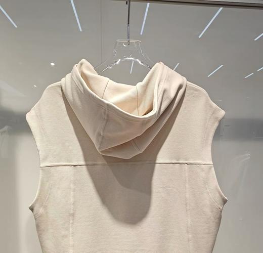 jasonwood  24年秋款  套头卫衣 341406001 商品图3