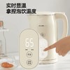 九阳电热水壶（开水煲）K17ED-W390 1.7L 商品缩略图0