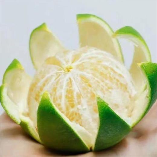 柠檬君生态柳丁（绿皮冰糖橙） 商品图1