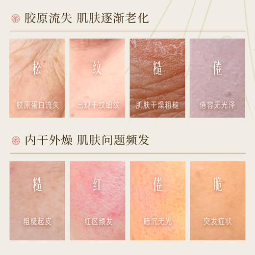 【官方正品】云南白药采之汲植萃润气紧致面膜单片装小红方面膜 商品图1