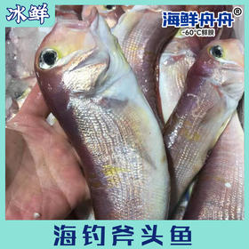 东海斧头鱼