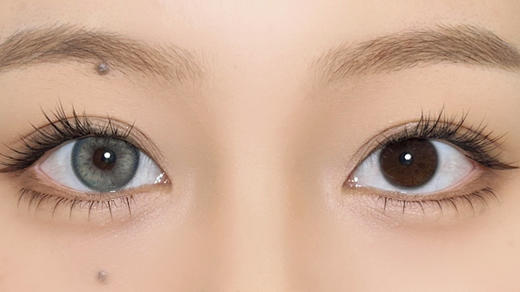 【日抛】海派椰椰·Bollycon丨14.2mm（日抛/一盒10片装） 商品图5