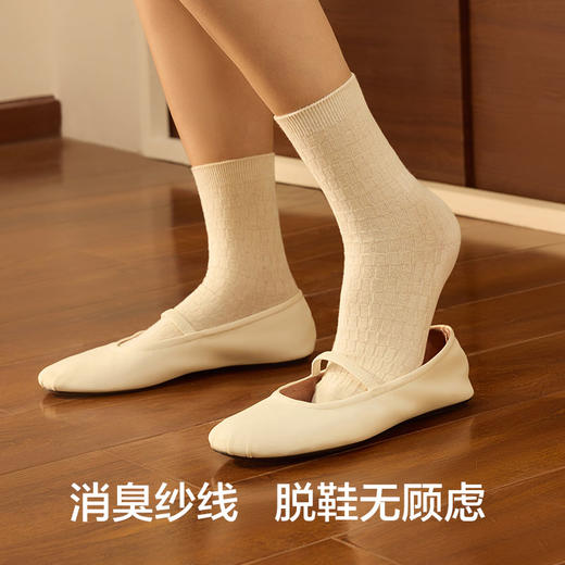 【绵绵花纱】有棵树纯棉女士中筒袜5双装-S4029 商品图3