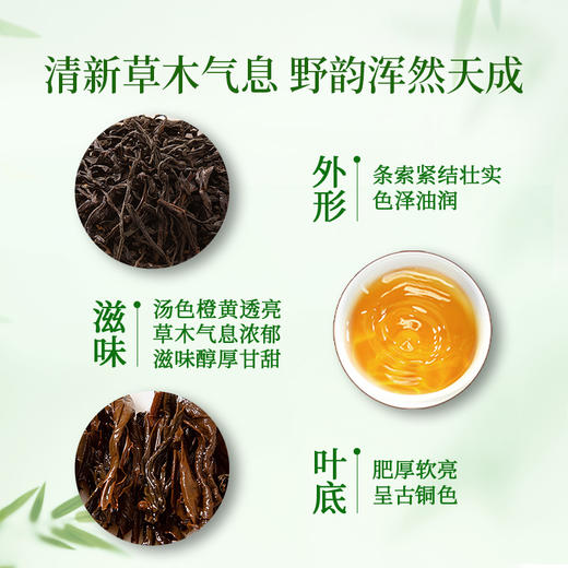 正山堂 正山小种野茶 红茶特级野生红茶茶叶礼盒装罐装送礼长辈 商品图3