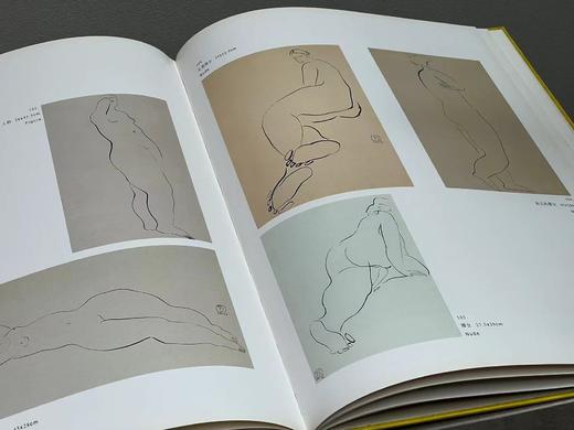 《常玉画集》，常玉绘画，8开,精装，带函套，132页，全彩精印，历史博物馆1995年10月初版。售价480元。 商品图7