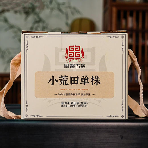凰馨2024年小荒田单株200克 古树普洱茶生茶 商品图4