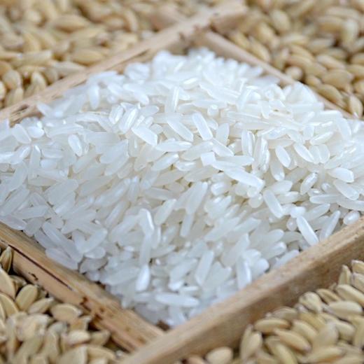 稻花香大米5斤 商品图3
