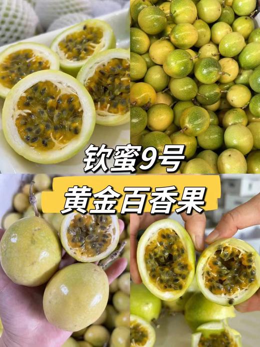 VC炸弹 百香果界天花板！【酸甜好味 可以直接吃的百香果】海南钦蜜9号黄金百香果5斤装  顺丰/京东随机发货 商品图1