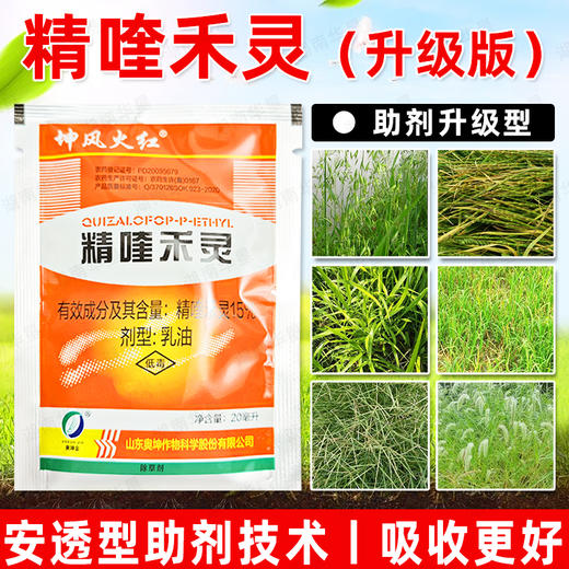 15%精喹禾灵除草剂大豆大田作物苗后除草专用强力除草剂正品农用 商品图1