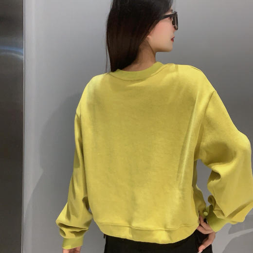 ZB1基础圆领卫衣40910(绿紫） 秋季 944020160321 商品图1